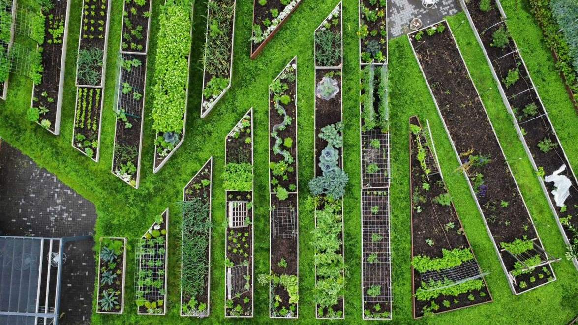 Samsung Galaxy Tab S10 FE