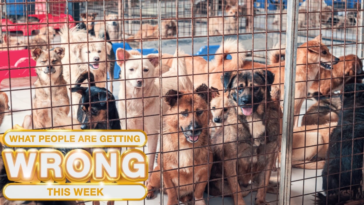 Samsung Galaxy Tab S10 FE