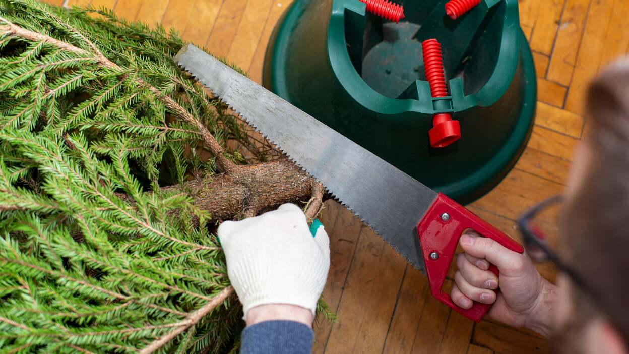 These ‘Hacks’ Will Actually Dry Out Your Christmas Tree Faster
