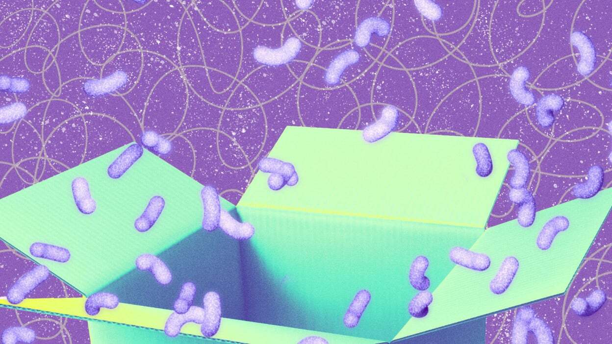 Samsung Galaxy Tab S10 FE