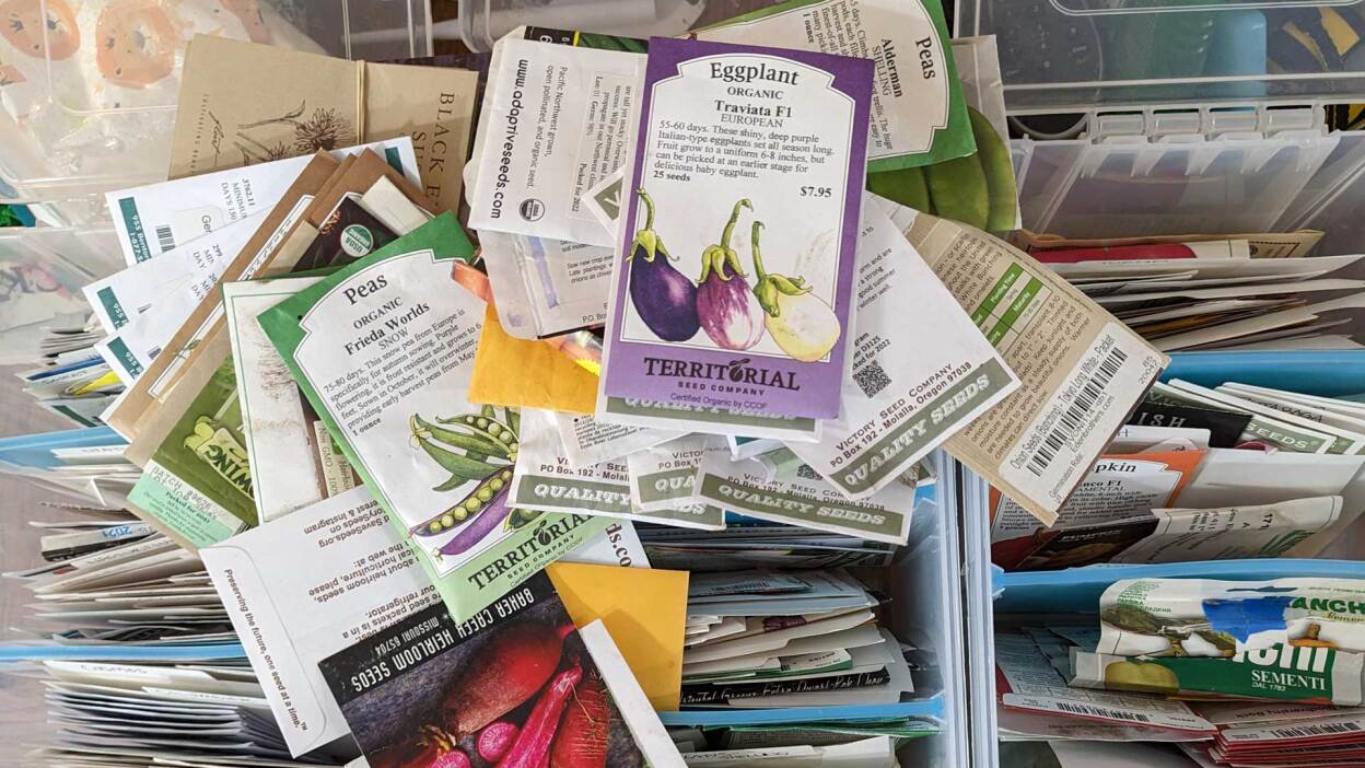 Samsung Galaxy Tab S10 FE